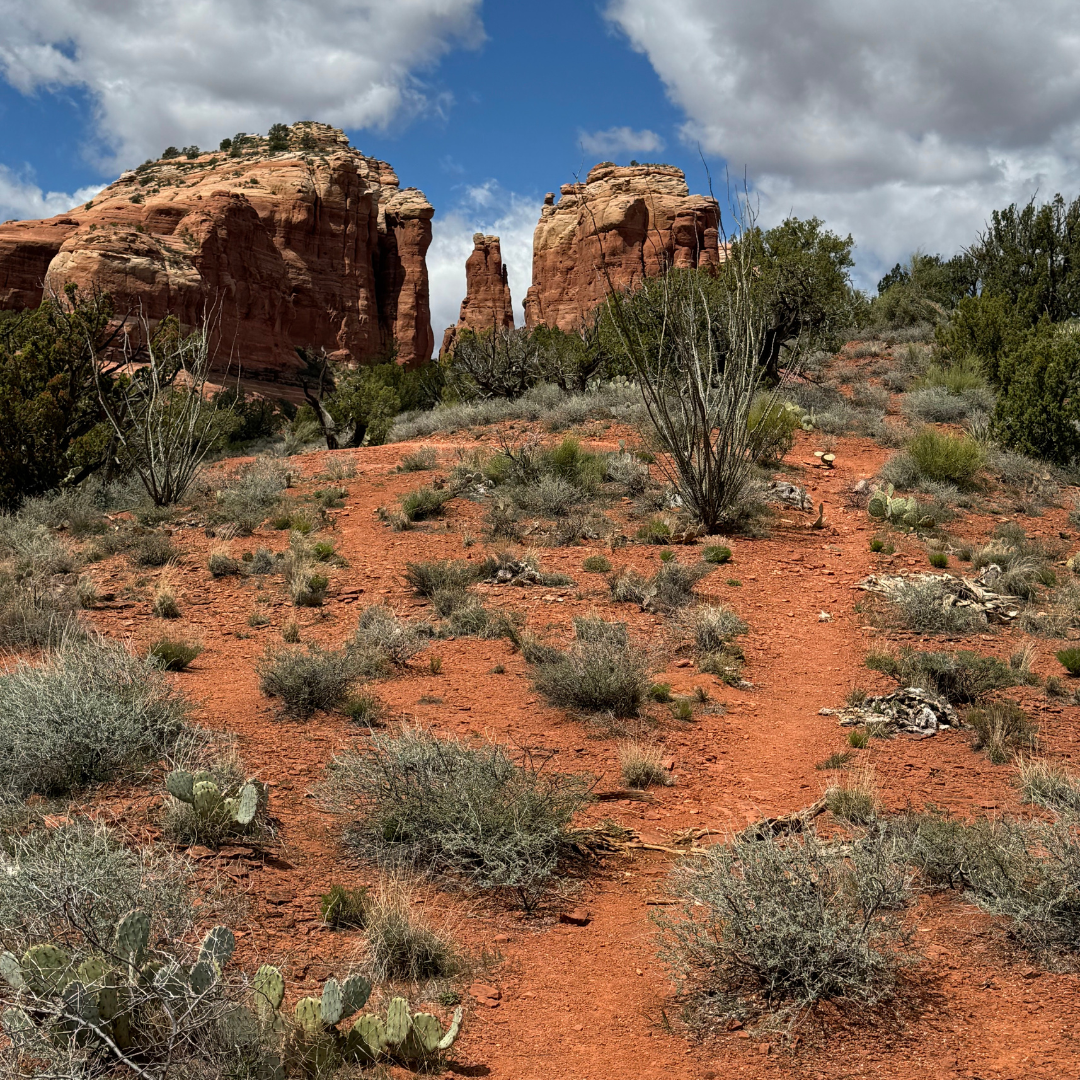 Sedona hike to Cathedral rock