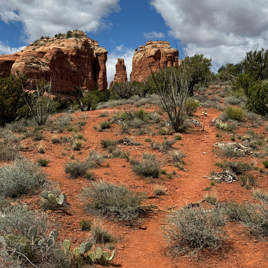 6 Sedona hike to Cathedral rock