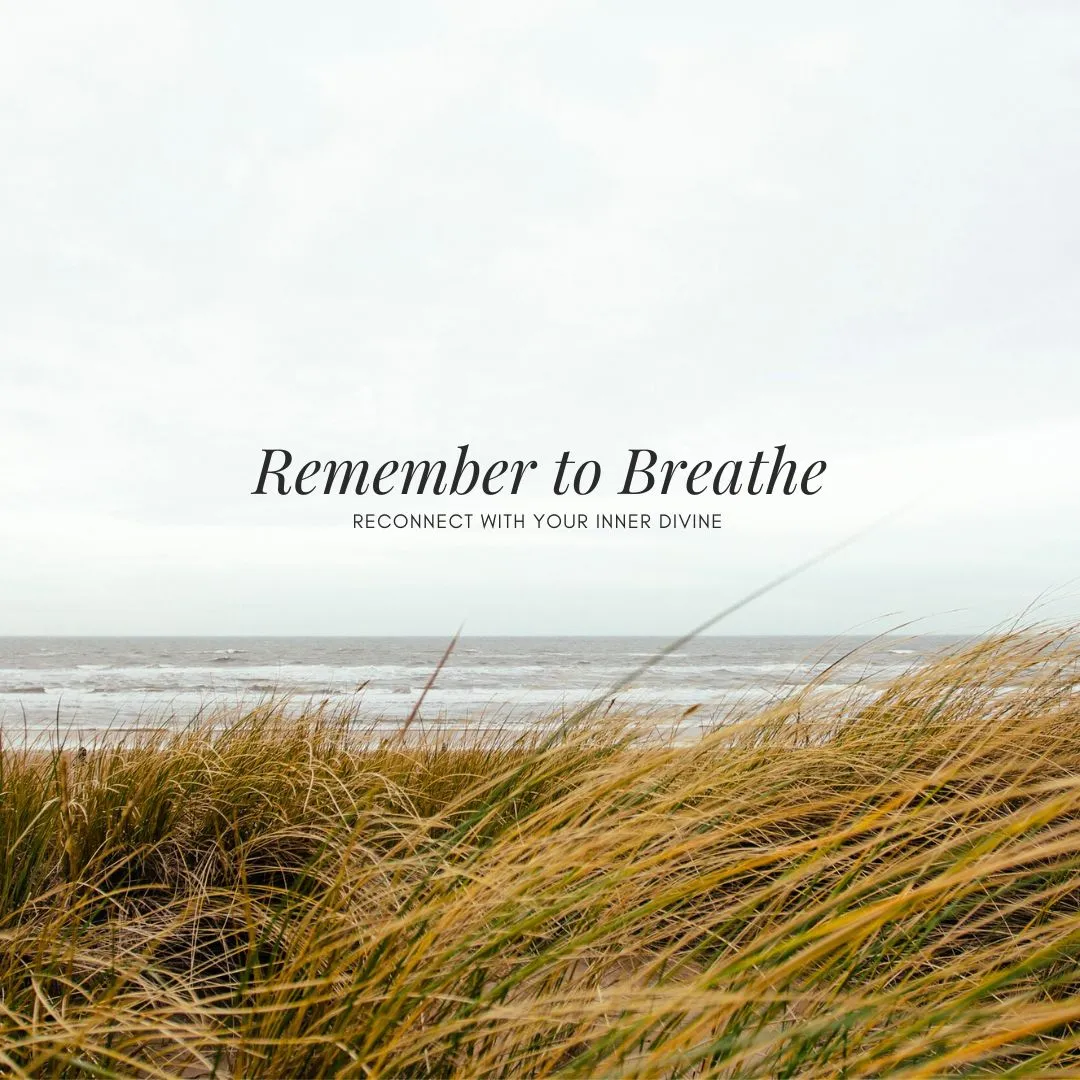 7 Wellness Retreat