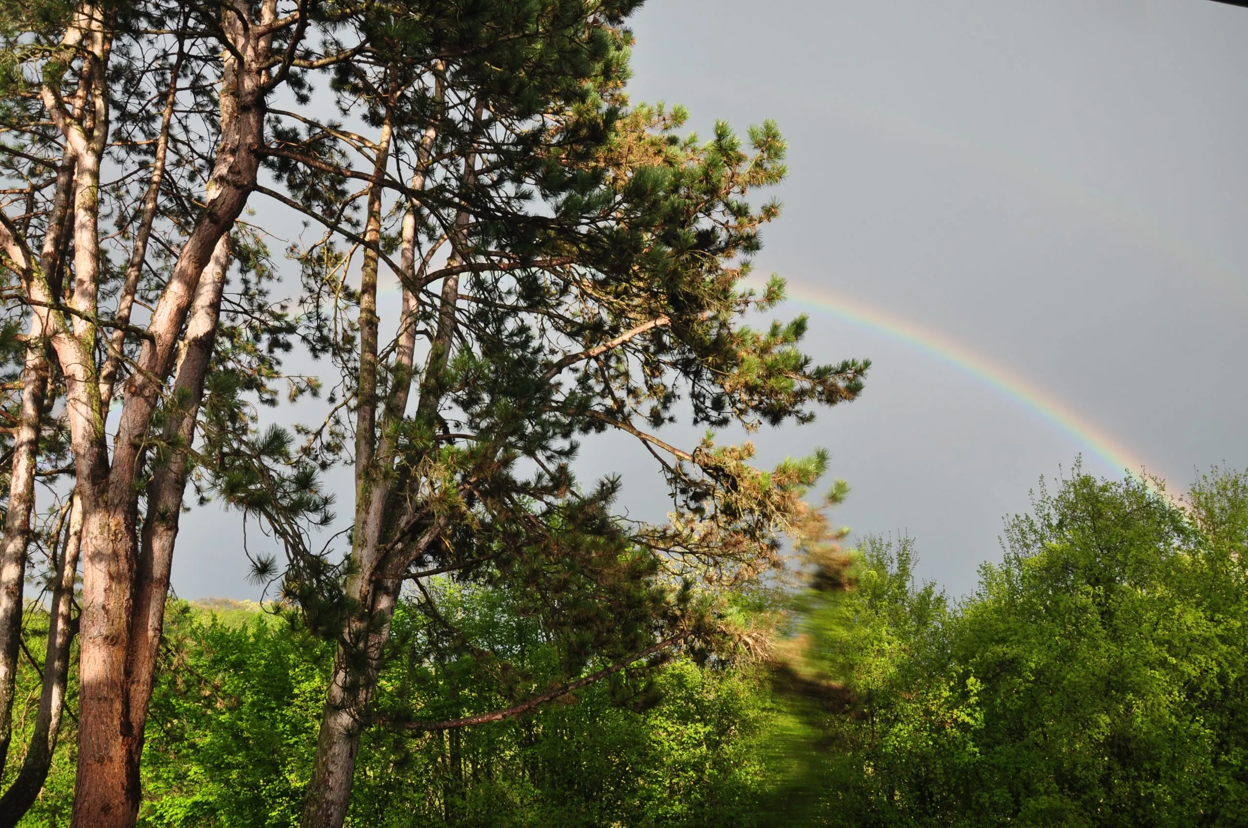 Vortex2-scaled Vortex in Geneva